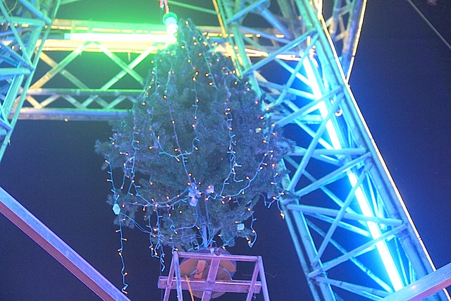 Giáo dân Xứ Nghệ làm “Tháp Eiffel” đón Giáng sinh độc nhất Việt Nam - 12 Cây thông là một phần không thể thiếu trong ngày Giáng sinh, bà con giáo dân đã khéo léo luồn cây thông vào phần trong lõi ngọn tháp.