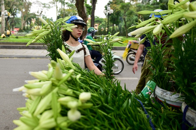 Tháng tư về, hoa loa kèn tinh khôi xuống phố Hà Nội - 13 Tháng tư về, hoa loa kèn tinh khôi xuống phố Hà Nội - 13