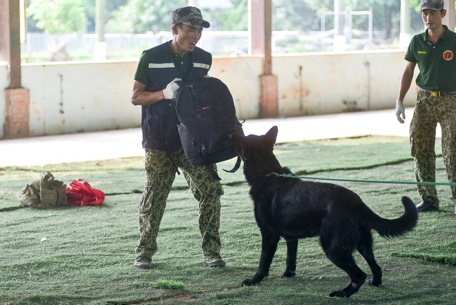 Sau hàng loạt vụ chó tấn công kinh hoàng: Những kinh nghiệm sống còn để thoát hiểm - 7 Sau hàng loạt vụ chó tấn công kinh hoàng: Những kinh nghiệm sống còn để thoát hiểm - 7