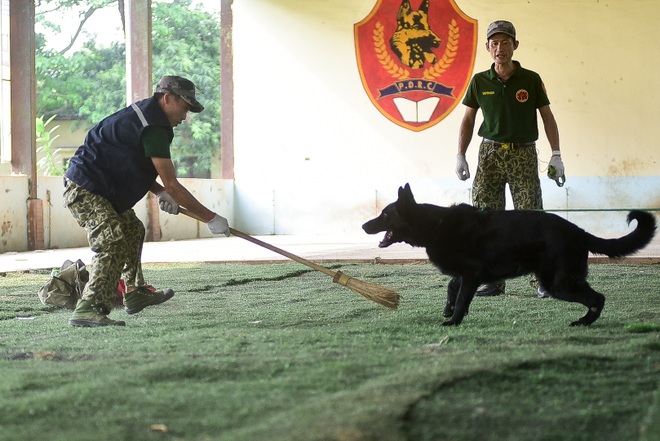 Sau hàng loạt vụ chó tấn công kinh hoàng: Những kinh nghiệm sống còn để thoát hiểm - 11 Sau hàng loạt vụ chó tấn công kinh hoàng: Những kinh nghiệm sống còn để thoát hiểm - 11