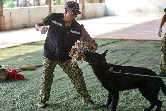 Sau hàng loạt vụ chó tấn công kinh hoàng: Những kinh nghiệm sống còn để thoát hiểm - 18 Sau hàng loạt vụ chó tấn công kinh hoàng: Những kinh nghiệm sống còn để thoát hiểm - 18
