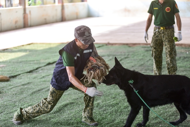 Sau hàng loạt vụ chó tấn công kinh hoàng: Những kinh nghiệm sống còn để thoát hiểm - 16 Sau hàng loạt vụ chó tấn công kinh hoàng: Những kinh nghiệm sống còn để thoát hiểm - 16