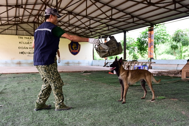 Sau hàng loạt vụ chó tấn công kinh hoàng: Những kinh nghiệm sống còn để thoát hiểm - 6 Sau hàng loạt vụ chó tấn công kinh hoàng: Những kinh nghiệm sống còn để thoát hiểm - 6