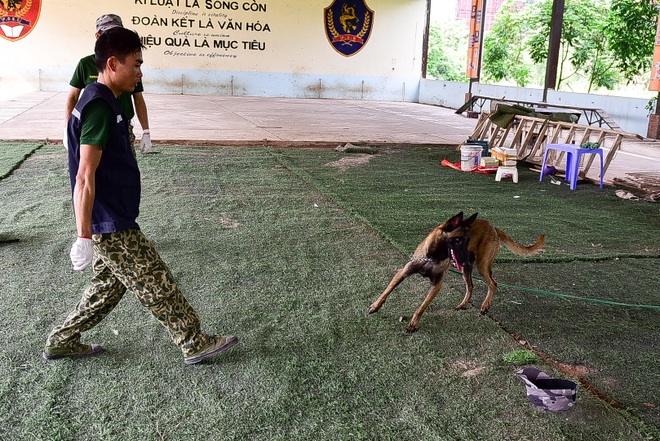 Sau hàng loạt vụ chó tấn công kinh hoàng: Những kinh nghiệm sống còn để thoát hiểm - 4 Sau hàng loạt vụ chó tấn công kinh hoàng: Những kinh nghiệm sống còn để thoát hiểm - 4