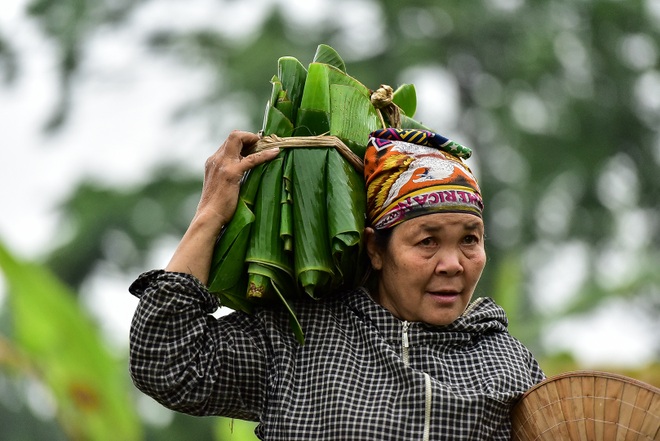 Gặp người phụ nữ hơn 35 năm hái lá chuối mưu sinh - 17 Gặp người phụ nữ hơn 35 năm hái lá chuối mưu sinh - 17