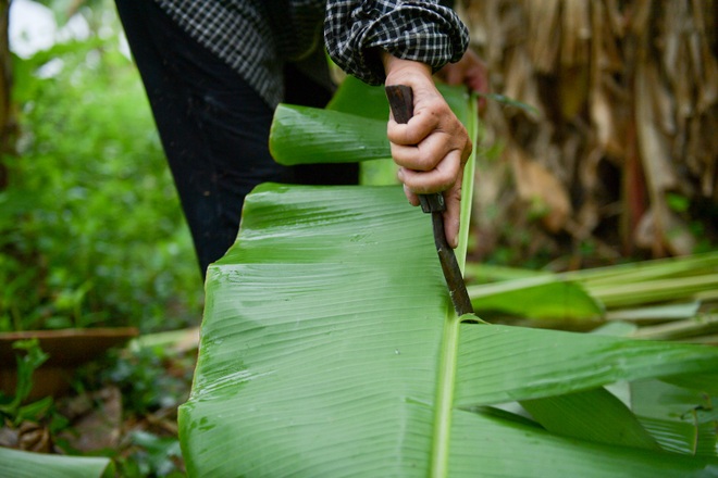 Gặp người phụ nữ hơn 35 năm hái lá chuối mưu sinh - 14 Gặp người phụ nữ hơn 35 năm hái lá chuối mưu sinh - 14