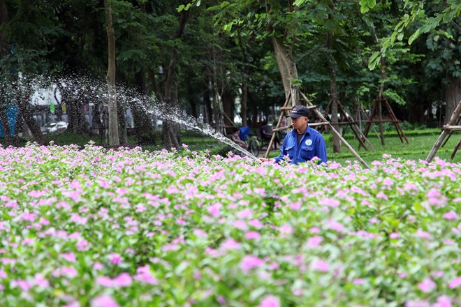 Những thắng cảnh bên hồ Gươm gây tranh cãi về vị trí đặt ga tàu điện ngầm - 6 Những thắng cảnh bên hồ Gươm gây tranh cãi về vị trí đặt ga tàu điện ngầm - 6