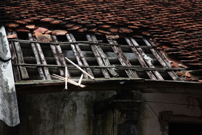 Người hùng hiến tạng cứu 4 mạng và câu chuyện đẫm nước mắt đằng sau - 4 Người hùng hiến tạng cứu 4 mạng và câu chuyện đẫm nước mắt đằng sau - 4
