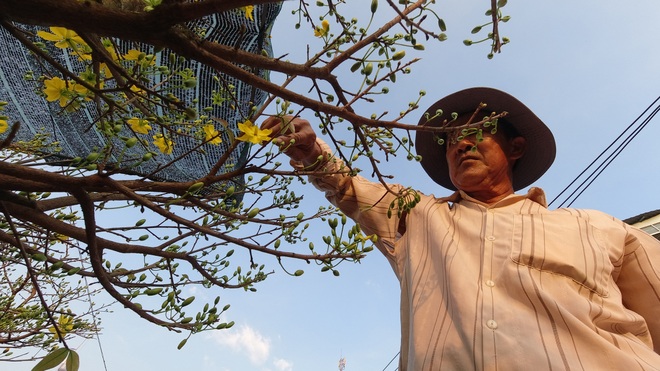Một lần đi chợ hoa trên bến dưới thuyền độc, lạ nhất Sài Gòn - 7 Một lần đi chợ hoa trên bến dưới thuyền độc, lạ nhất Sài Gòn - 7