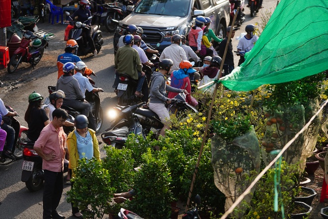 Một lần đi chợ hoa trên bến dưới thuyền độc, lạ nhất Sài Gòn - 16 Một lần đi chợ hoa trên bến dưới thuyền độc, lạ nhất Sài Gòn - 16