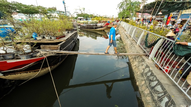 Một lần đi chợ hoa trên bến dưới thuyền độc, lạ nhất Sài Gòn - 4 Một lần đi chợ hoa trên bến dưới thuyền độc, lạ nhất Sài Gòn - 4
