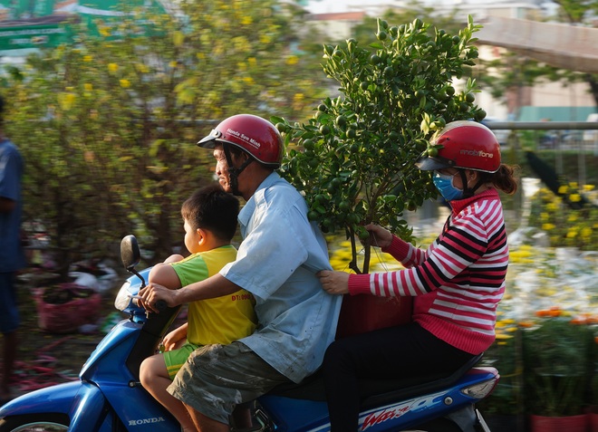 Một lần đi chợ hoa trên bến dưới thuyền độc, lạ nhất Sài Gòn - 25 Một lần đi chợ hoa trên bến dưới thuyền độc, lạ nhất Sài Gòn - 25