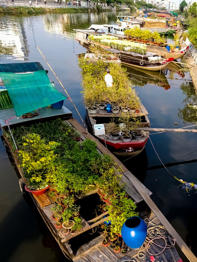 Một lần đi chợ hoa trên bến dưới thuyền độc, lạ nhất Sài Gòn - 2 Một lần đi chợ hoa trên bến dưới thuyền độc, lạ nhất Sài Gòn - 2
