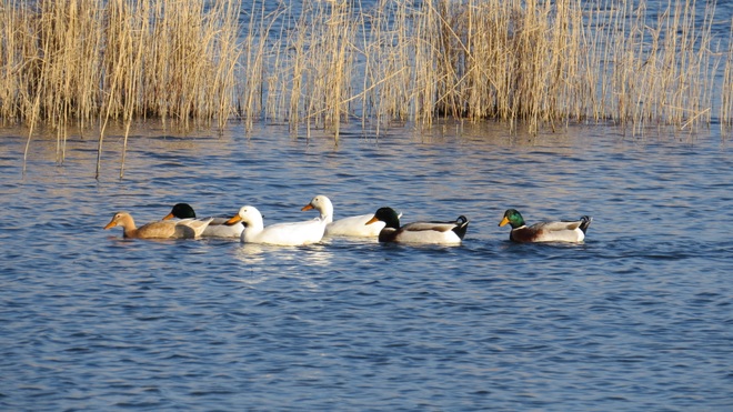 Vẻ đẹp ấn tượng của Azerbaijan - viên ngọc trên giao điểm Á - Âu - 15