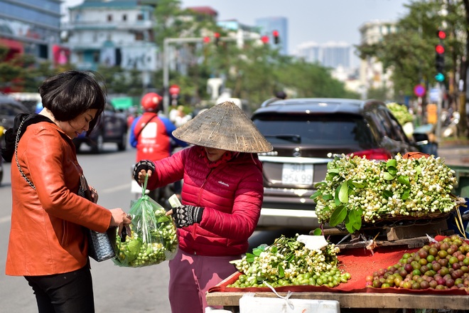 Hà Nội: Nồng nàn hương hoa bưởi đầu mùa - 7