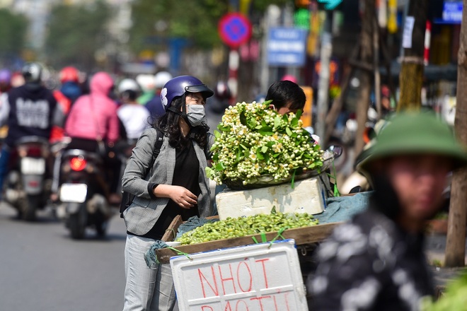 Hà Nội: Nồng nàn hương hoa bưởi đầu mùa - 16