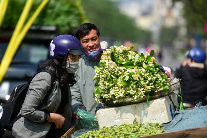 Hà Nội: Nồng nàn hương hoa bưởi đầu mùa - 15