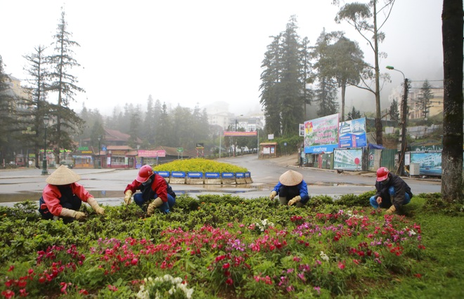 Sapa vắng lặng chưa từng thấy vì dịch Covid-19 - 17