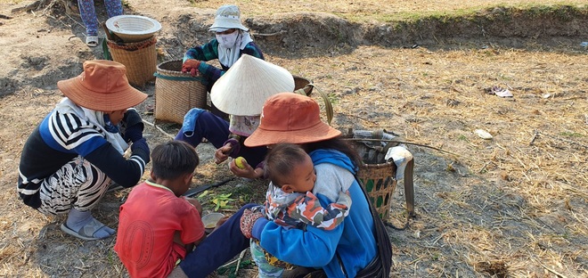 Người dân Ninh Thuận quay quắt trong cơn hạn hán kéo dài - 13