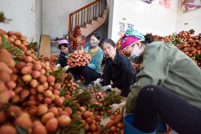 Chợ vải Bắc Giang nhộn nhịp vào mùa - 16