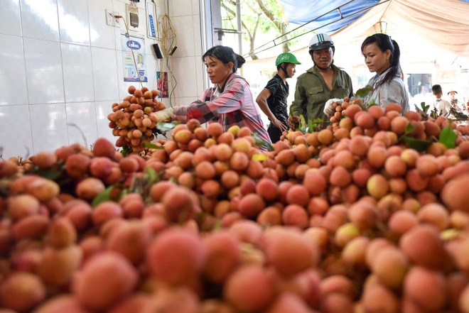 Chợ vải Bắc Giang nhộn nhịp vào mùa - 15