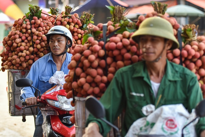 Chợ vải Bắc Giang nhộn nhịp vào mùa - 3