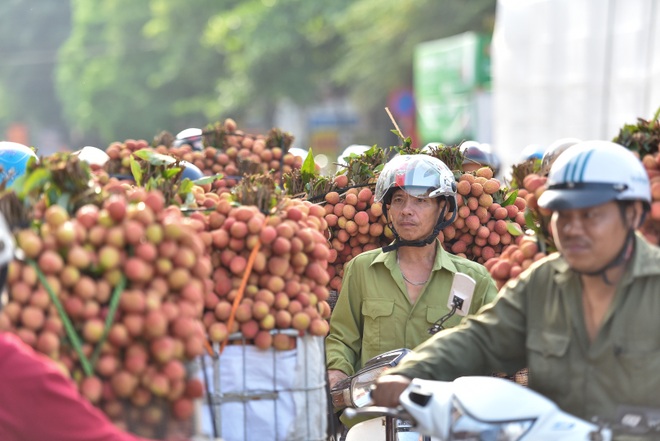 Chợ vải Bắc Giang nhộn nhịp vào mùa - 9