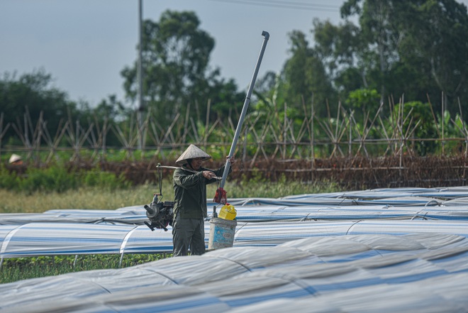 Hoảng hồn nhìn người dân tưới rau bằng nước thải đen ngòm - 10 Hoảng hồn nhìn người dân tưới rau bằng nước thải đen ngòm - 10