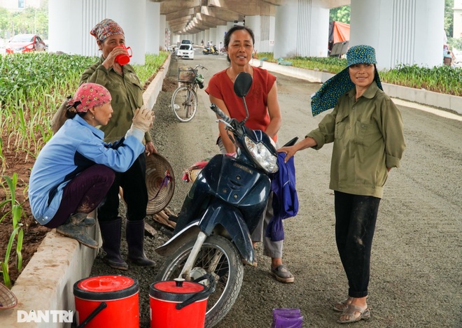 Diện mạo cầu vượt thấp qua hồ Linh Đàm một ngày trước khi khánh thành - 10 Diện mạo cầu vượt thấp qua hồ Linh Đàm một ngày trước khi khánh thành - 10