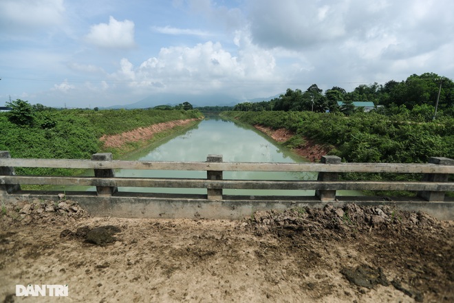 Đàn trâu nhởn nhơ rũ chất thải trên kênh dẫn vào nguồn nước sạch Hà Nội - 8 Đàn trâu nhởn nhơ rũ chất thải trên kênh dẫn vào nguồn nước sạch Hà Nội - 8
