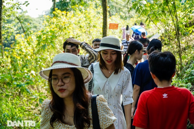 Ngắm đồi hoa dã quỳ bung sắc nhuộm vàng đỉnh núi Ba Vì - 6 Ngắm đồi hoa dã quỳ bung sắc nhuộm vàng đỉnh núi Ba Vì - 6