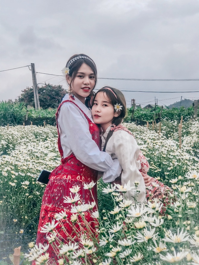 Dazedly admiring the chrysanthemum field between Moc Chau Plateau - 13