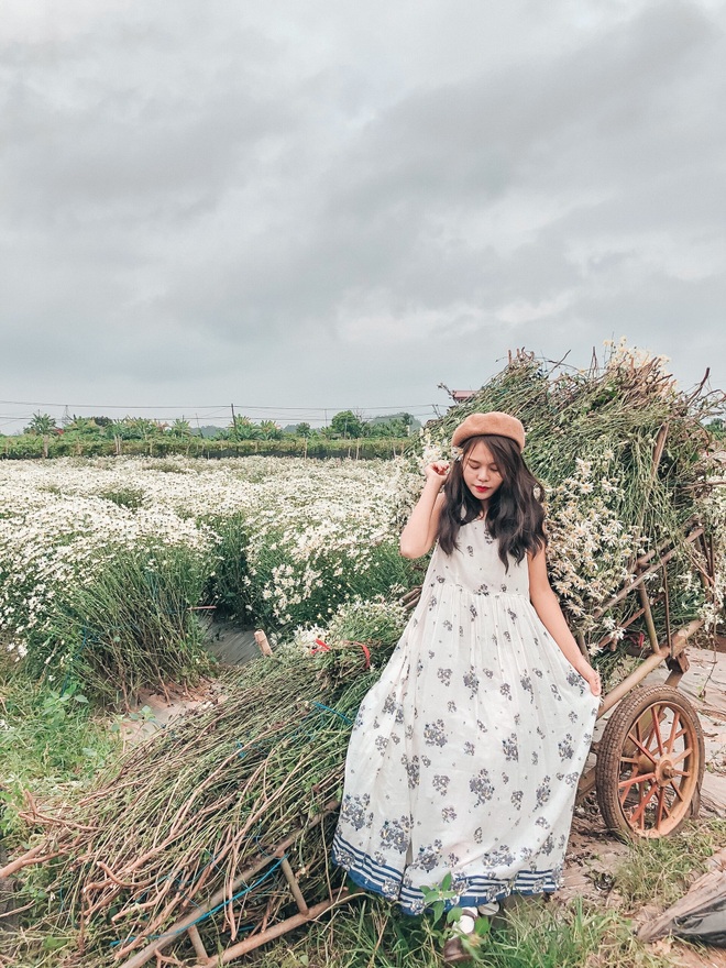 Dazedly admiring the chrysanthemum field in the middle of Moc Chau plateau - 5