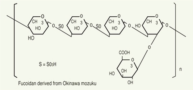 Món quà tuyệt vời cho sức khỏe từ Fucoidan có nguồn gốc từ tảo nâu - 2