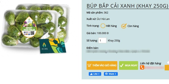 Bay từ Australia về Việt Nam, bắp cải tí hon được hét giá 400.000 đồng/kg - 2 Bay từ Australia về Việt Nam, bắp cải tí hon được hét giá 400.000 đồng/kg - 2