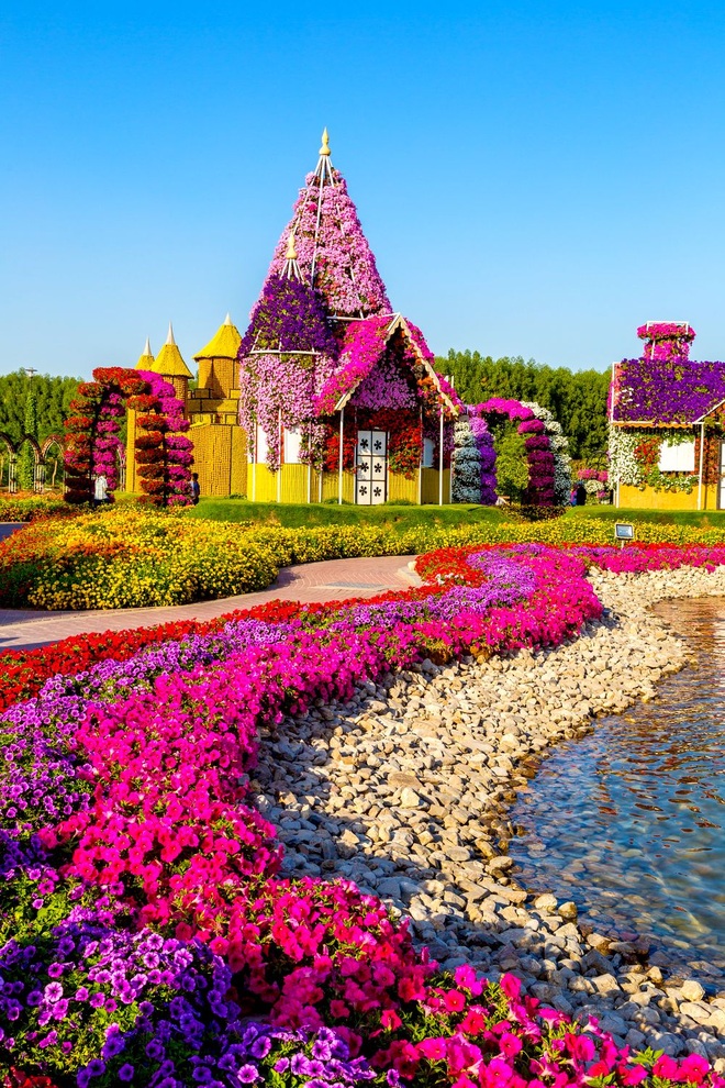 Vườn hoa đẹp kinh ngạc nơi tuyển Việt Nam tới thi đấu vòng loại World Cup - 7 Vườn hoa đẹp kinh ngạc nơi tuyển Việt Nam tới thi đấu vòng loại World Cup - 7