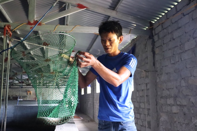 Câu chuyện khởi nghiệp của chàng kỹ sư với 4.000 con cá chình - 2 Câu chuyện khởi nghiệp của chàng kỹ sư với 4.000 con cá chình - 2