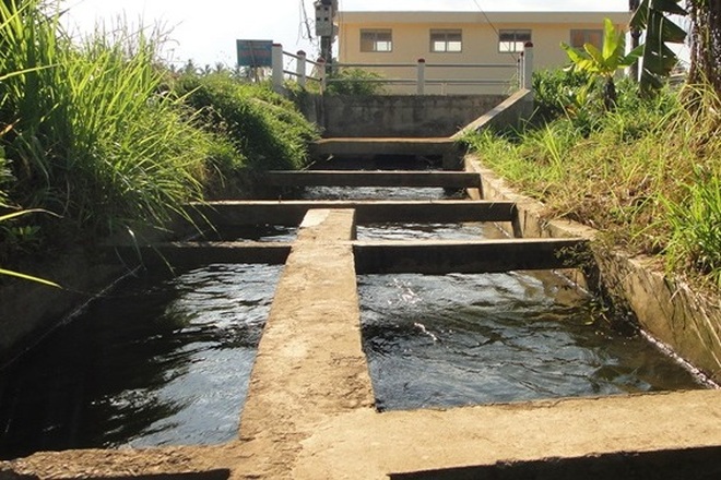 Sông Lại Giang hết cảnh xâm nhập mặn, xóa nỗi lo đất khô, người khát - 3 Sông Lại Giang hết cảnh xâm nhập mặn, xóa nỗi lo đất khô, người khát - 3