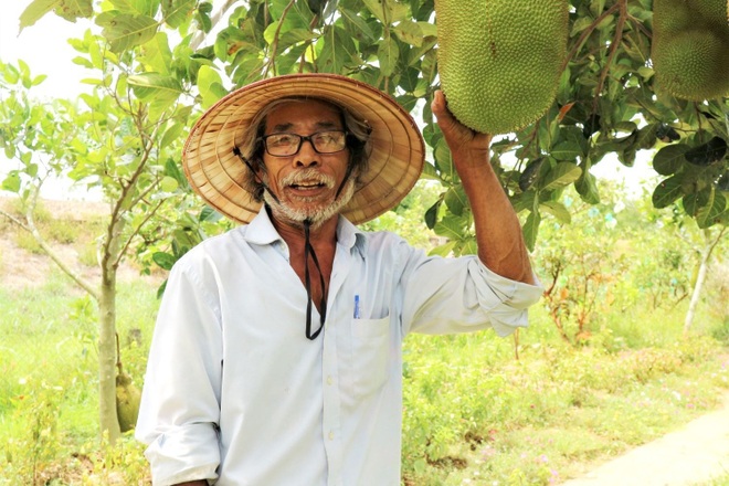 Lão nông bắt cây ra quả trên đất cằn, thu hàng trăm triệu đồng mỗi năm - 1 Lão nông bắt cây ra quả trên đất cằn, thu hàng trăm triệu đồng mỗi năm - 1