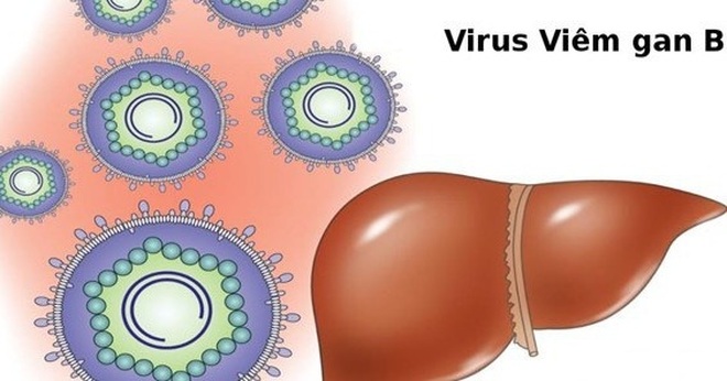 Hai loại virus đe dọa ung thư gan - 1 Hai loại virus đe dọa ung thư gan - 1