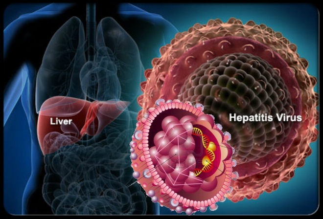 Viêm gan virus gây ung thư như thế nào? - 1