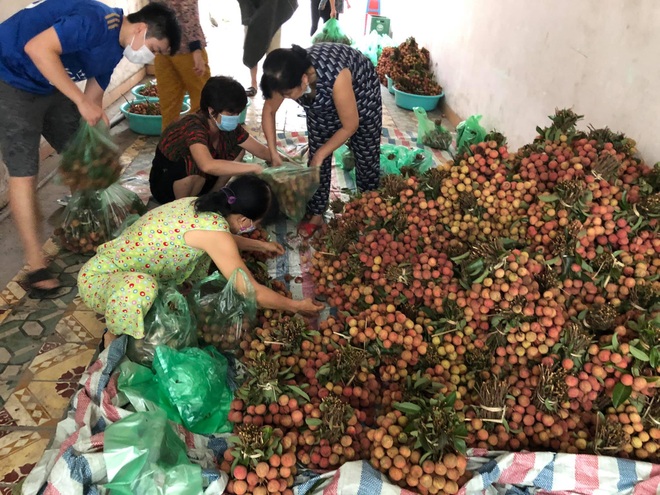 Người phụ nữ phát tặng 2 tấn vải thiều: Tấm lòng của mình với Bắc Giang - 3 Người phụ nữ phát tặng 2 tấn vải thiều: Tấm lòng của mình với Bắc Giang - 3