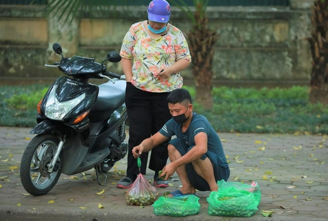 Bất chấp nguy hiểm, sấu thủ đu dây trên ngọn cây hái quả - 6 Bất chấp nguy hiểm, sấu thủ đu dây trên ngọn cây hái quả - 6