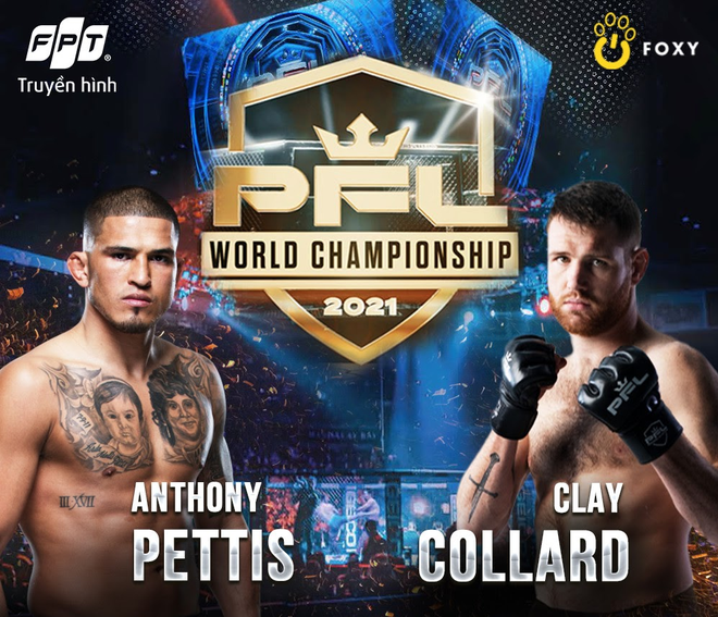 MMA Professional Fighters League trở lại hấp dẫn dành cho người hâm mộ - 4 MMA Professional Fighters League trở lại hấp dẫn dành cho người hâm mộ - 4