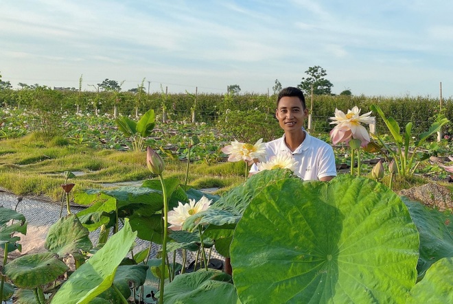 Choáng ngợp đầm sen cạn hơn 10.000 chậu của chàng trai quê lúa - 2