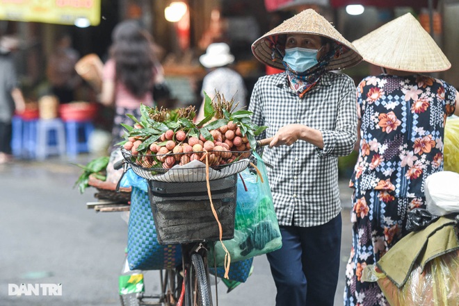 Chợ nhà giàu mùa dịch: Chẳng còn khách chịu chi, gà càng to càng ế - 11 Chợ nhà giàu mùa dịch: Chẳng còn khách chịu chi, gà càng to càng ế - 11