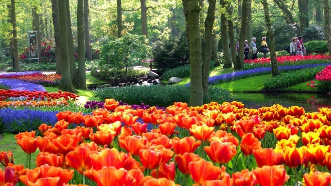 Say đắm với cảnh sắc vườn hoa đẹp nhất Hà Lan - 2