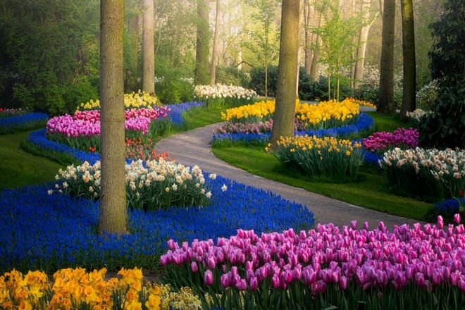 Say đắm với cảnh sắc vườn hoa đẹp nhất Hà Lan - 1