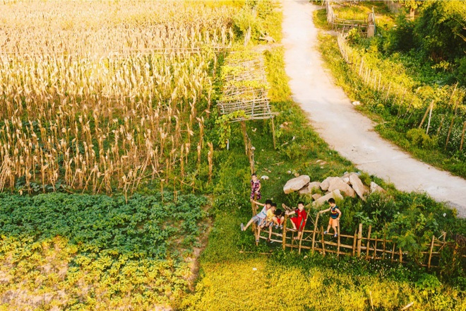 Những bức ảnh chỉ nhìn thôi là cả bầu trời tuổi thơ trong trẻo ùa về - 1 Những bức ảnh chỉ nhìn thôi là cả bầu trời tuổi thơ trong trẻo ùa về - 1