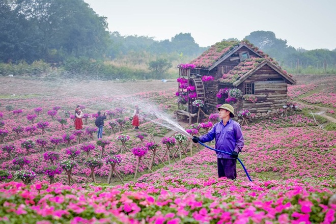 Phim trường 40.000 m2 đóng băng vì Covid-19, nhà đầu tư khóc ròng - 1 Phim trường 40.000 m2 đóng băng vì Covid-19, nhà đầu tư khóc ròng - 1